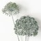 Sullivan's Eucalyptus Seed Flower Stem, Dark Green Faux Floral Stem for Crafting, Weddings, Home and Holiday Decoration, 30.75 Inch